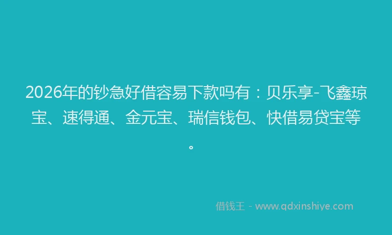 2026年的钞急好借容易下款吗有:贝乐享-飞鑫琼宝、速得通、金元宝、瑞信钱包、快借易贷宝等。