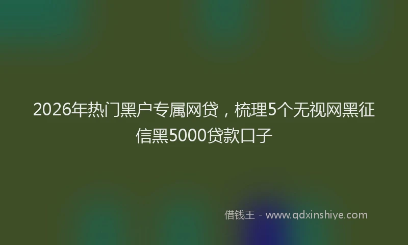 2026年热门黑户专属网贷，梳理5个无视网黑征信黑5000贷款口子