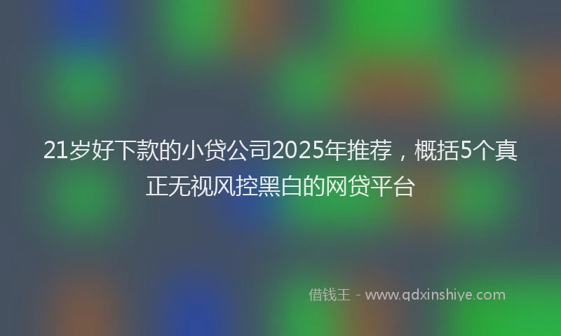 21岁好下款的小贷公司2025年推荐，概括5个真正无视风控黑白的网贷平台