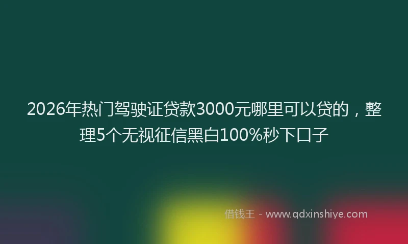 2026年热门驾驶证贷款3000元哪里可以贷的，整理5个无视征信黑白100%秒下口子