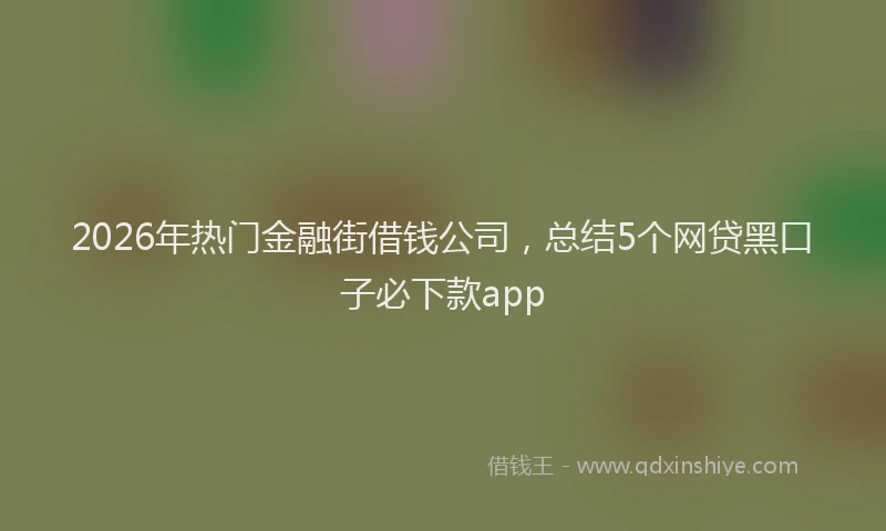 2026年热门金融街借钱公司，总结5个网贷黑口子必下款app