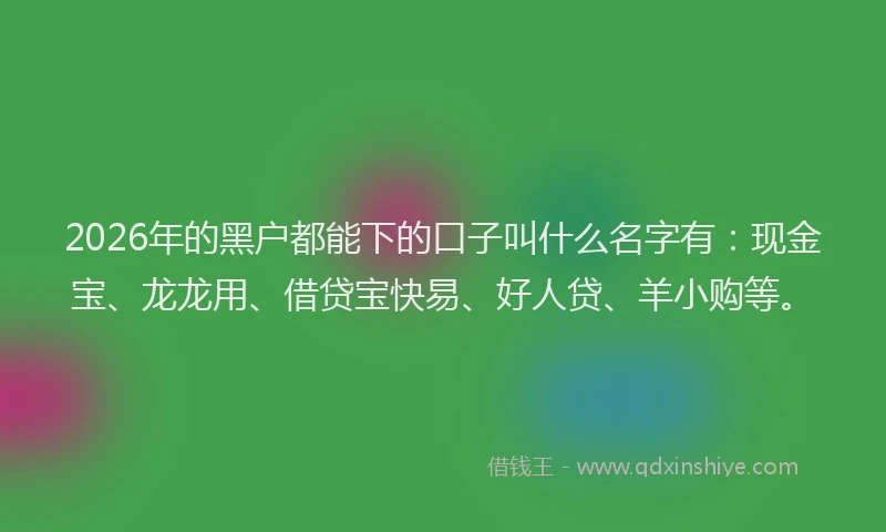 2026年的黑户都能下的口子叫什么名字有：现金宝、龙龙用、借贷宝快易、好人贷、羊小购等。