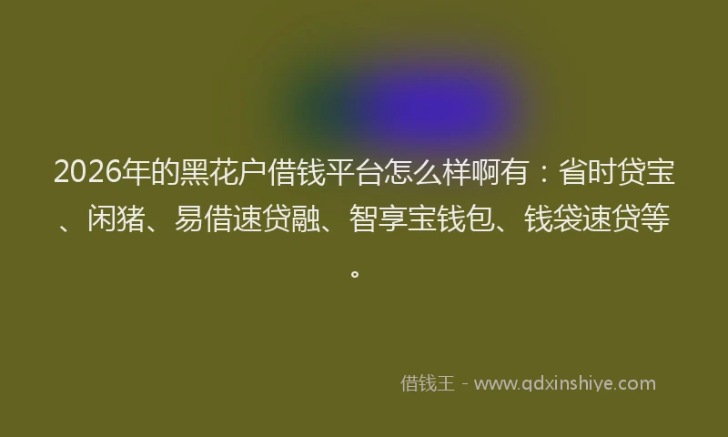 2026年的黑花户借钱平台怎么样啊有：省时贷宝、闲猪、易借速贷融、智享宝钱包、钱袋速贷等。