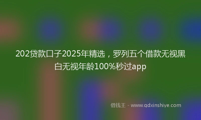 202贷款口子2025年精选，罗列五个借款无视黑白无视年龄100%秒过app