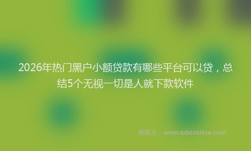 2026年热门黑户小额贷款有哪些平台可以贷，总结5个无视一切是人就下款软件