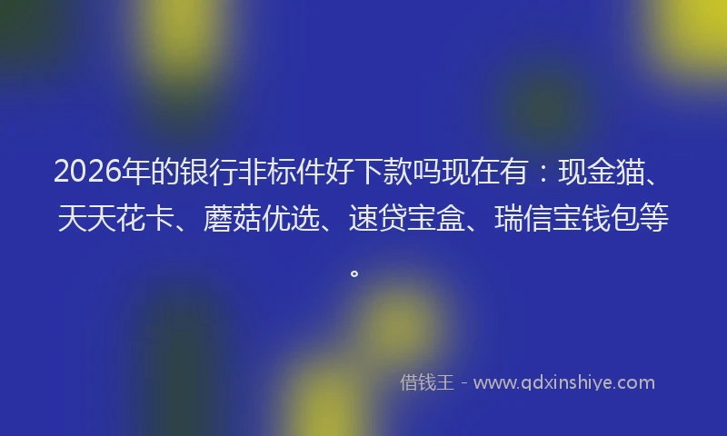 2026年的银行非标件好下款吗现在有：现金猫、天天花卡、蘑菇优选、速贷宝盒、瑞信宝钱包等。