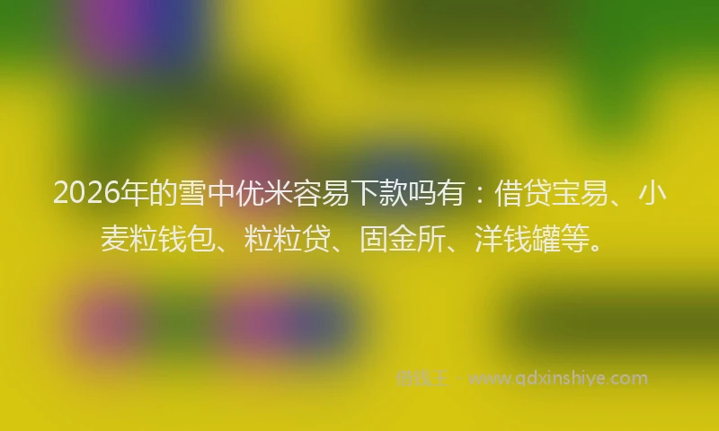 2026年的雪中优米容易下款吗有：借贷宝易、小麦粒钱包、粒粒贷、固金所、洋钱罐等。