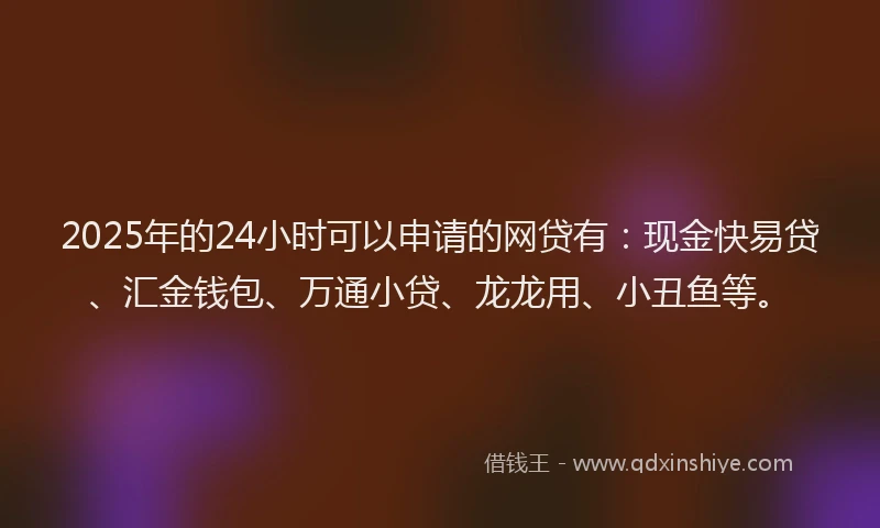 2025年的24小时可以申请的网贷有：现金快易贷、汇金钱包、万通小贷、龙龙用、小丑鱼等。