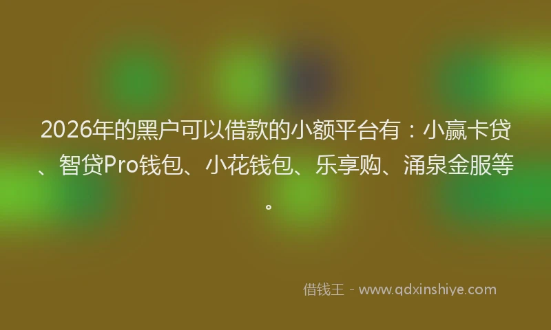 2026年的黑户可以借款的小额平台有：小赢卡贷、智贷Pro钱包、小花钱包、乐享购、涌泉金服等。