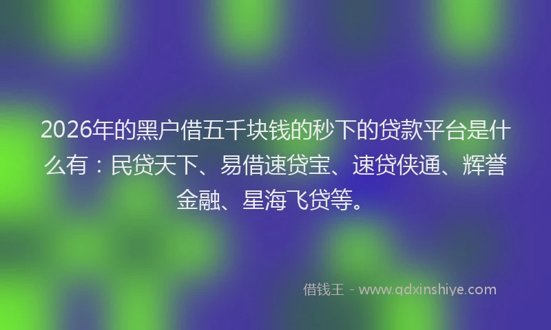 2026年的黑户借五千块钱的秒下的贷款平台是什么有：民贷天下、易借速贷宝、速贷侠通、辉誉金融、星海飞贷等。