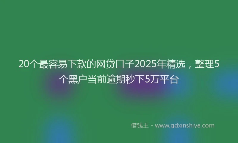 20个最容易下款的网贷口子2025年精选，整理5个黑户当前逾期秒下5万平台
