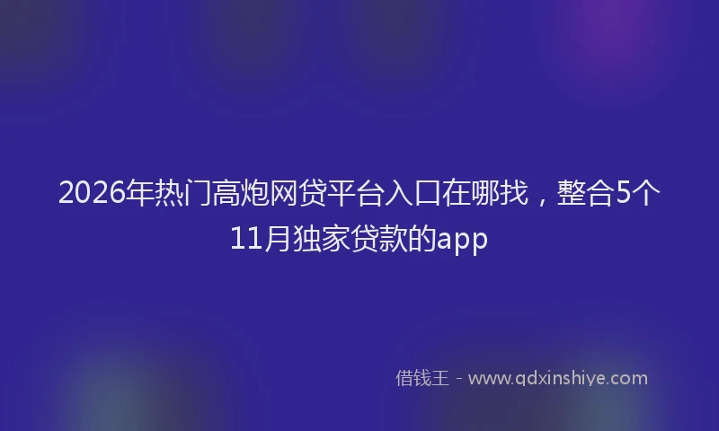 2026年热门高炮网贷平台入口在哪找，整合5个11月独家贷款的app