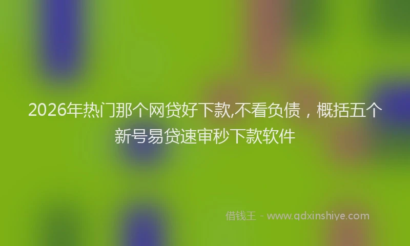 2026年热门那个网贷好下款,不看负债，概括五个新号易贷速审秒下款软件
