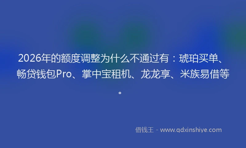 2026年的额度调整为什么不通过有:琥珀买单、畅贷钱包Pro、掌中宝租机、龙龙享、米族易借等。