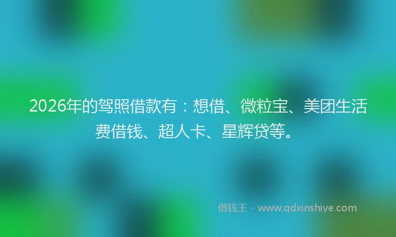 2026年的驾照借款有:想借、微粒宝、美团生活费借钱、超人卡、星辉贷等。
