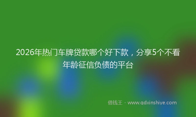 2026年热门车牌贷款哪个好下款，分享5个不看年龄征信负债的平台