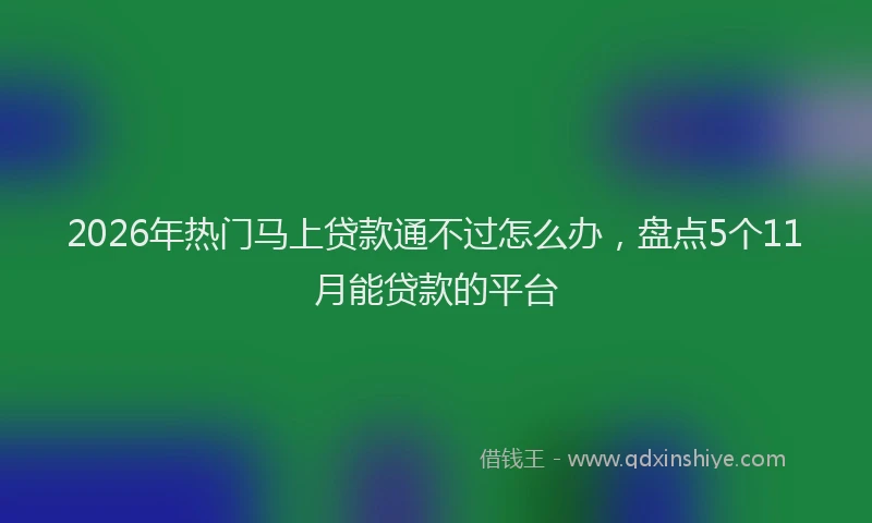 2026年热门马上贷款通不过怎么办，盘点5个11月能贷款的平台