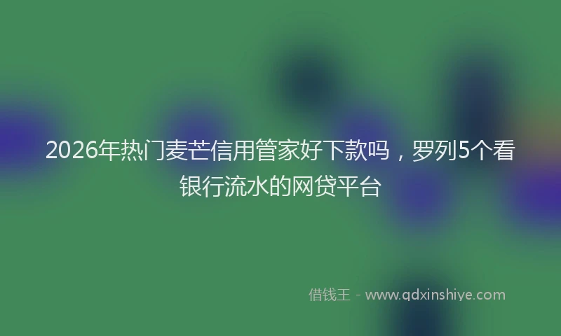 2026年热门麦芒信用管家好下款吗，罗列5个看银行流水的网贷平台