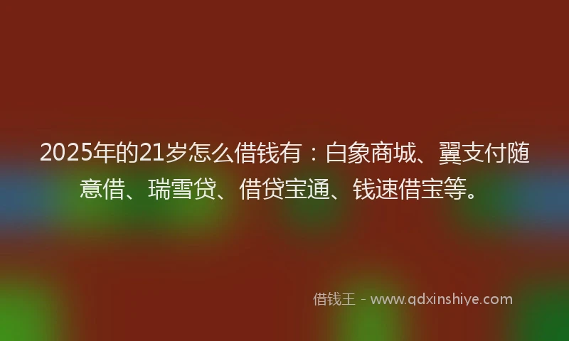 2025年的21岁怎么借钱有：白象商城、翼支付随意借、瑞雪贷、借贷宝通、钱速借宝等。
