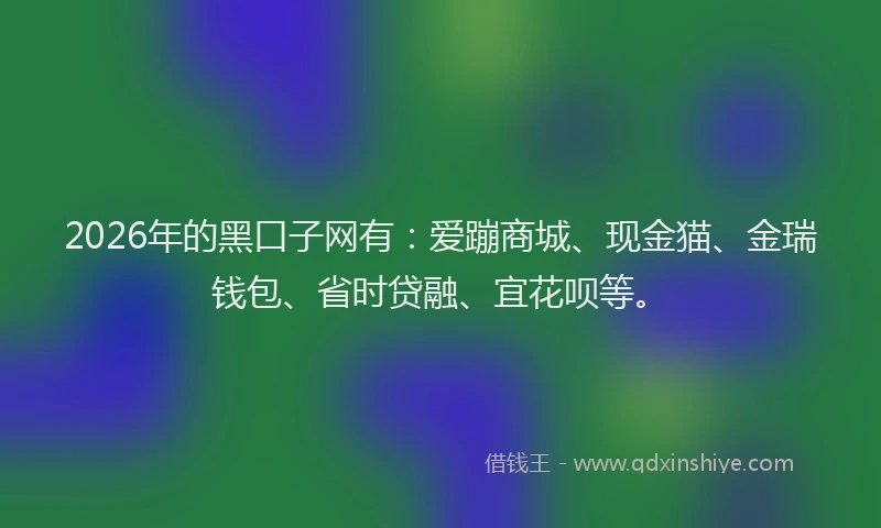 2026年的黑口子网有：爱蹦商城、现金猫、金瑞钱包、省时贷融、宜花呗等。