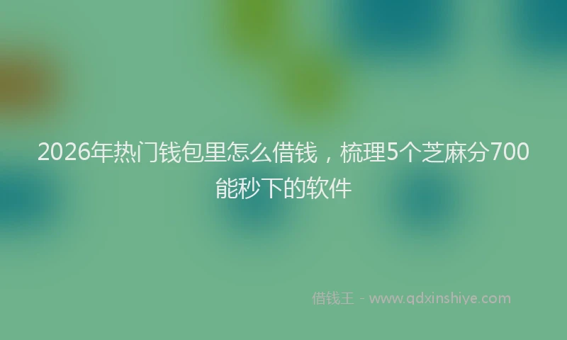 2026年热门钱包里怎么借钱，梳理5个芝麻分700能秒下的软件