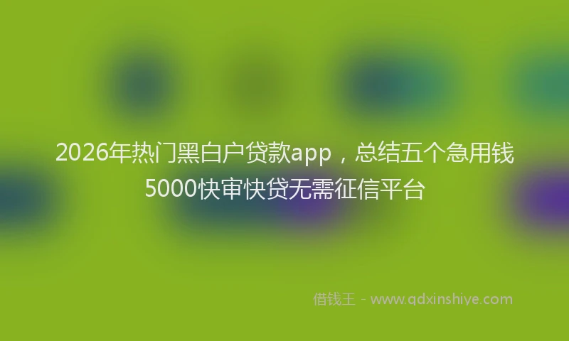2026年热门黑白户贷款app，总结五个急用钱5000快审快贷无需征信平台