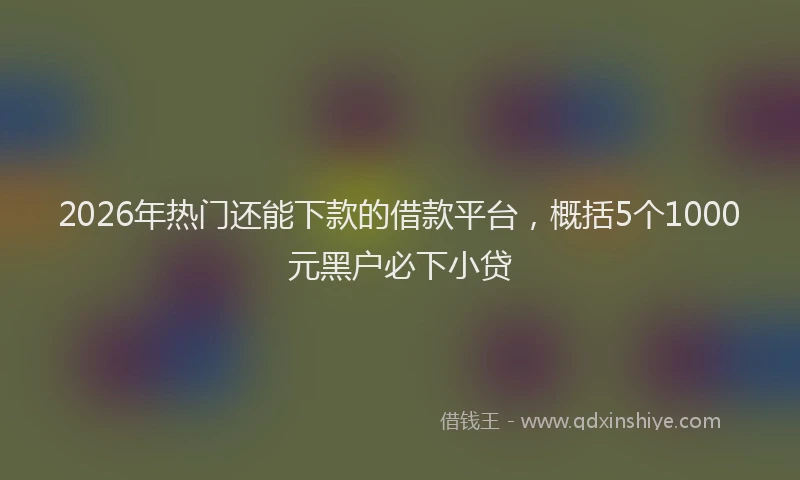 2026年热门还能下款的借款平台，概括5个1000元黑户必下小贷