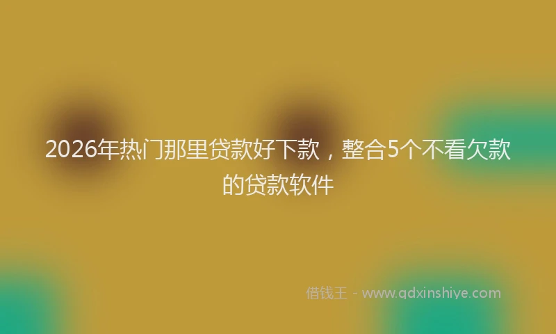 2026年热门那里贷款好下款，整合5个不看欠款的贷款软件