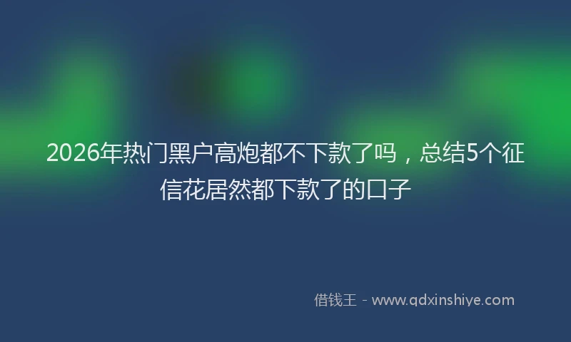 2026年热门黑户高炮都不下款了吗,总结5个征信花居然都下款了的口子