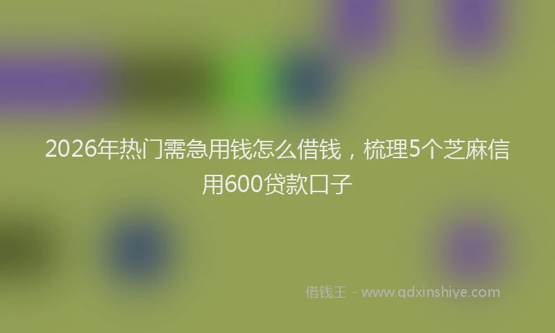 2026年热门需急用钱怎么借钱,梳理5个芝麻信用600贷款口子