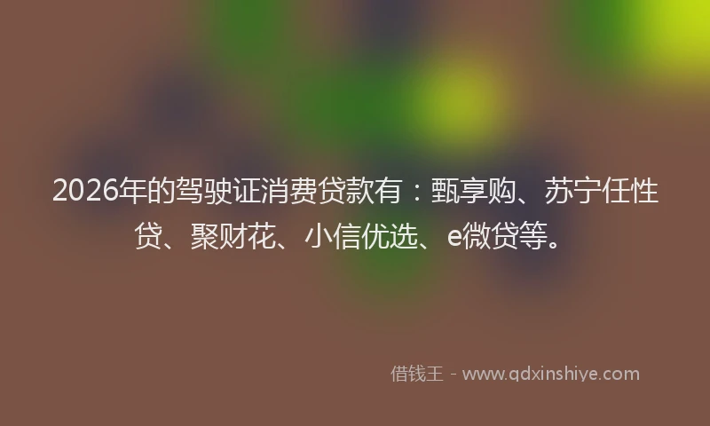2026年的驾驶证消费贷款有：甄享购、苏宁任性贷、聚财花、小信优选、e微贷等。