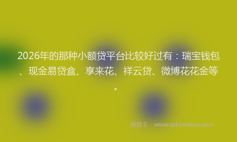 2026年的那种小额贷平台比较好过有：瑞宝钱包、现金易贷盒、享来花、祥云贷、微博花花金等。