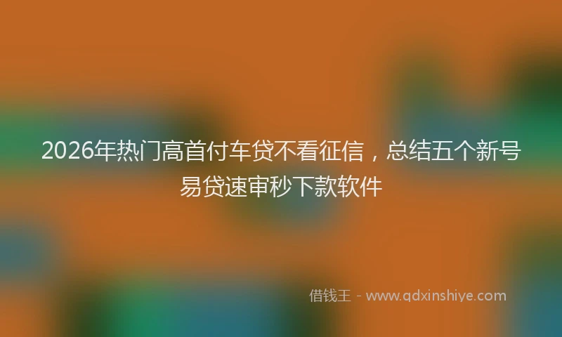 2026年热门高首付车贷不看征信，总结五个新号易贷速审秒下款软件