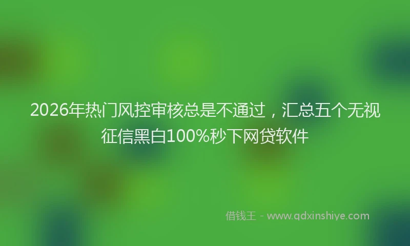 2026年热门风控审核总是不通过,汇总五个无视征信黑白100%秒下网贷软件
