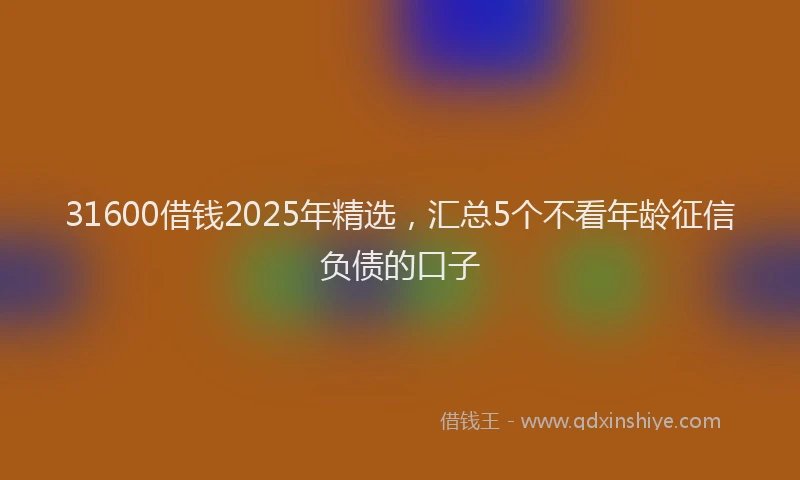 31600借钱2025年精选，汇总5个不看年龄征信负债的口子