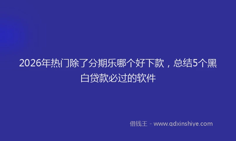 2026年热门除了分期乐哪个好下款，总结5个黑白贷款必过的软件