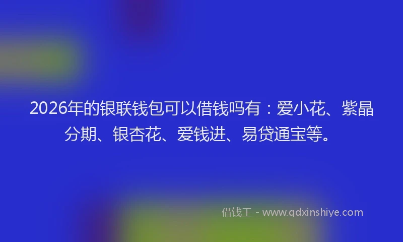 2026年的银联钱包可以借钱吗有：爱小花、紫晶分期、银杏花、爱钱进、易贷通宝等。