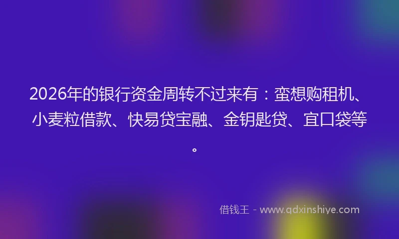 2026年的银行资金周转不过来有：蛮想购租机、小麦粒借款、快易贷宝融、金钥匙贷、宜口袋等。