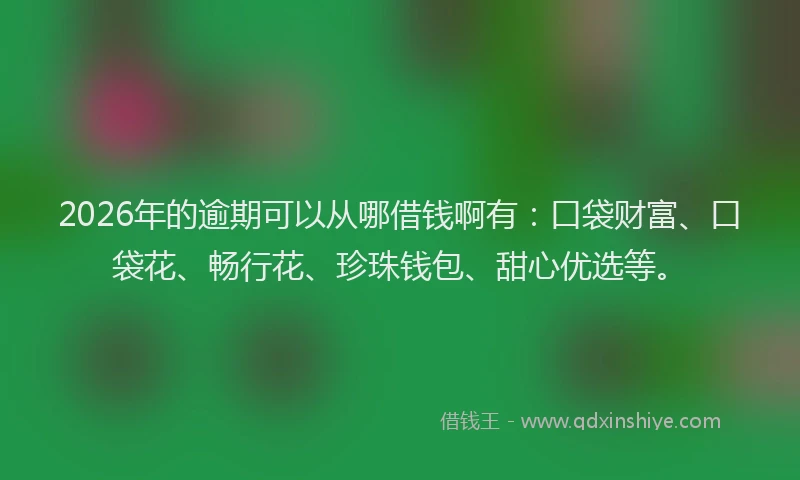 2026年的逾期可以从哪借钱啊有：口袋财富、口袋花、畅行花、珍珠钱包、甜心优选等。