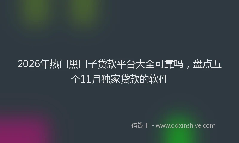 2026年热门黑口子贷款平台大全可靠吗，盘点五个11月独家贷款的软件