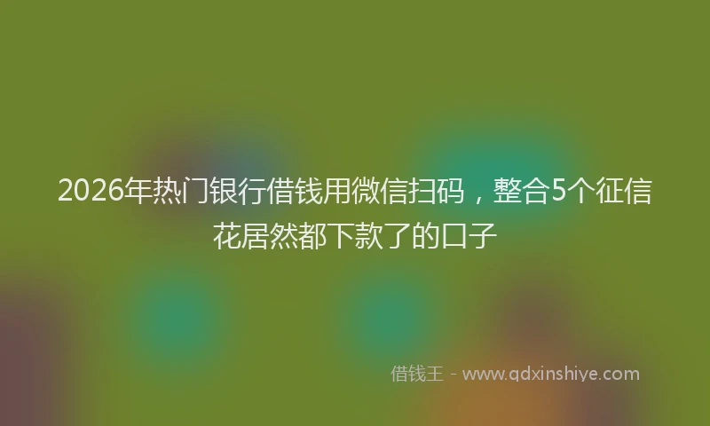 2026年热门银行借钱用微信扫码，整合5个征信花居然都下款了的口子