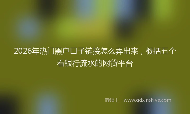 2026年热门黑户口子链接怎么弄出来，概括五个看银行流水的网贷平台