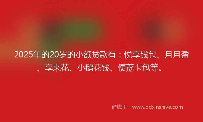 2025年的20岁的小额贷款有：悦享钱包、月月盈、享来花、小鹅花钱、便荔卡包等。