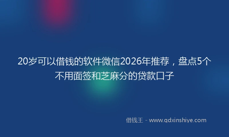 20岁可以借钱的软件微信2026年推荐，盘点5个不用面签和芝麻分的贷款口子