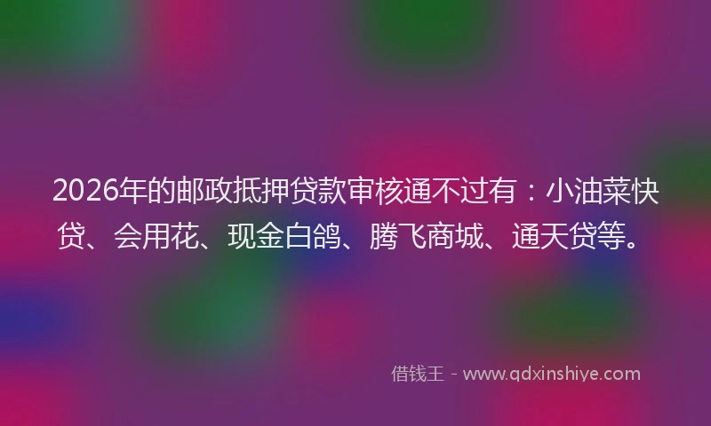 2026年的邮政抵押贷款审核通不过有：小油菜快贷、会用花、现金白鸽、腾飞商城、通天贷等。