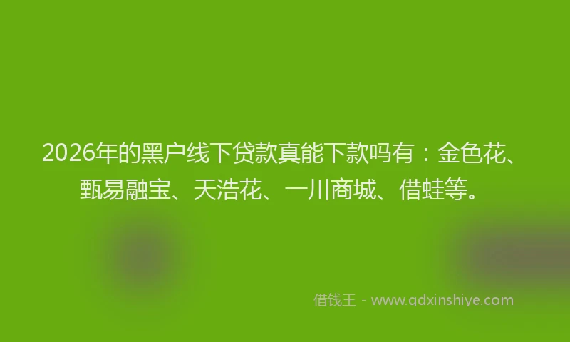 2026年的黑户线下贷款真能下款吗有：金色花、甄易融宝、天浩花、一川商城、借蛙等。