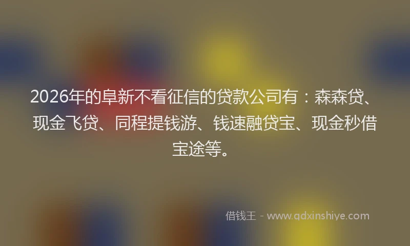 2026年的阜新不看征信的贷款公司有：森森贷、现金飞贷、同程提钱游、钱速融贷宝、现金秒借宝途等。