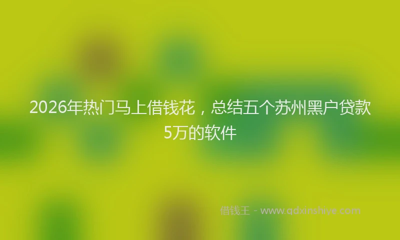 2026年热门马上借钱花，总结五个苏州黑户贷款5万的软件