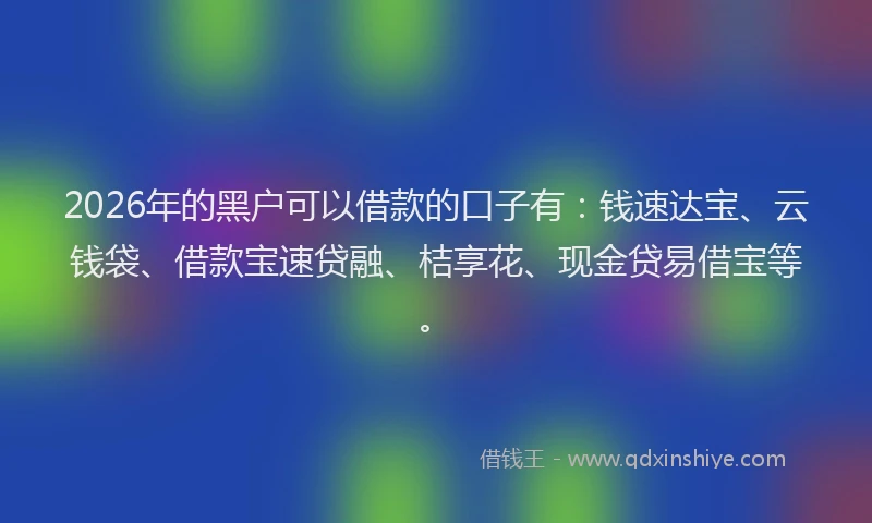 2026年的黑户可以借款的口子有：钱速达宝、云钱袋、借款宝速贷融、桔享花、现金贷易借宝等。