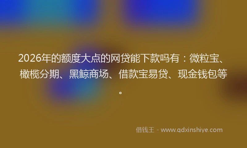 2026年的额度大点的网贷能下款吗有：微粒宝、橄榄分期、黑鲸商场、借款宝易贷、现金钱包等。